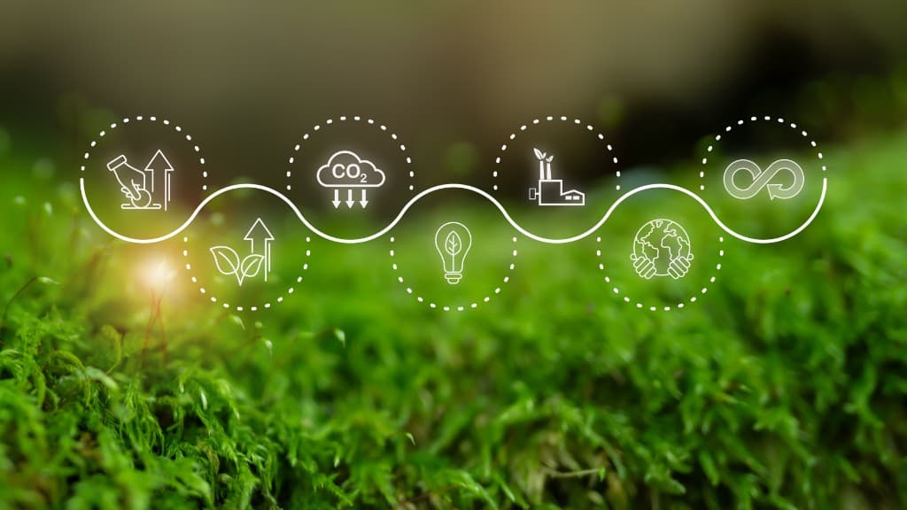 The Carma carbon vetting lifecycle, from measurement and growth through to verified climate impact