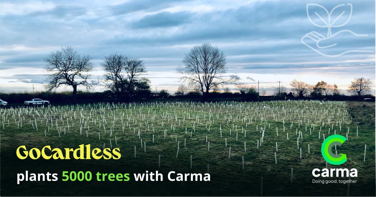 How GoCardless planted 5000 trees in one day and dug deeply into its sustainability strategy with Carma